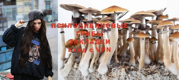а пвп мука Кинешма